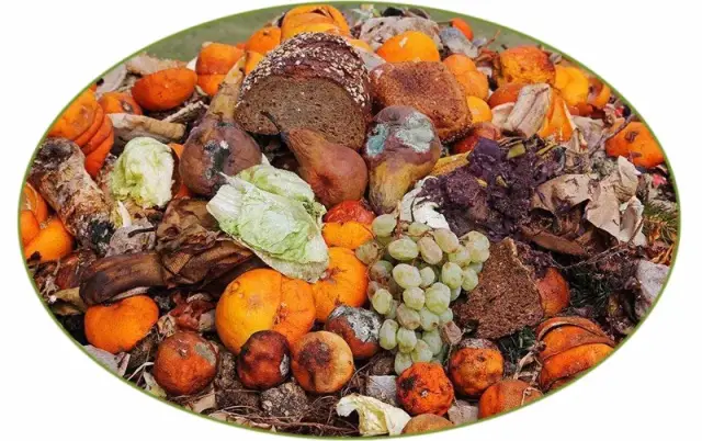 水果如何进行杀菌保鲜才能降低在贮藏及运输过