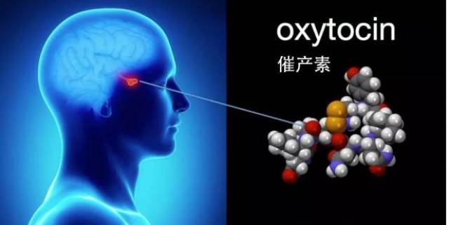 如何从原理出发,进行情绪和压力管理