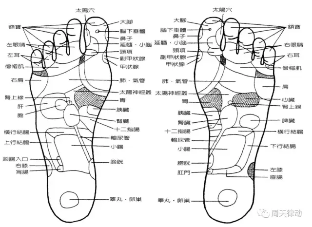 脚底穴位按摩的作用与好处