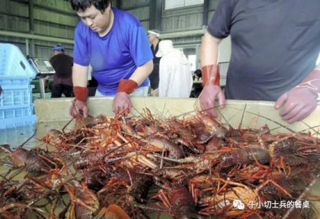 日本海军的美食：伊势虾咖喱饭