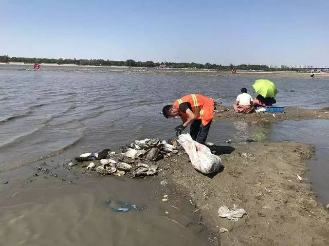 终于知道松花江为啥这么"瘦"了,好在水位已回升 | 亮底时全是大蛤蜊,2