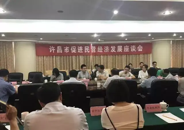 民营经济占国家经济总量多少_身体的水分占多少(2)