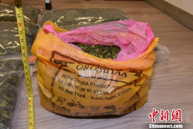 珠澳两地四方联动破获54.5千克毒品恰特草走私