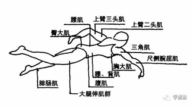 a2a09de20d154a76ac64622940547a16.jpeg