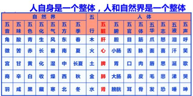 中医五行 五脏 六腑 五官 五形 五液 五色 五味 五志 五季 五行 心