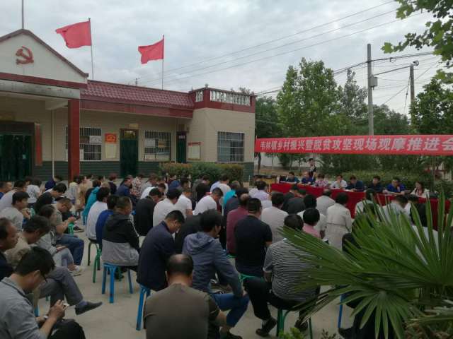 大荔县韦林镇召开乡村振兴暨扶贫攻坚现场观摩推进会