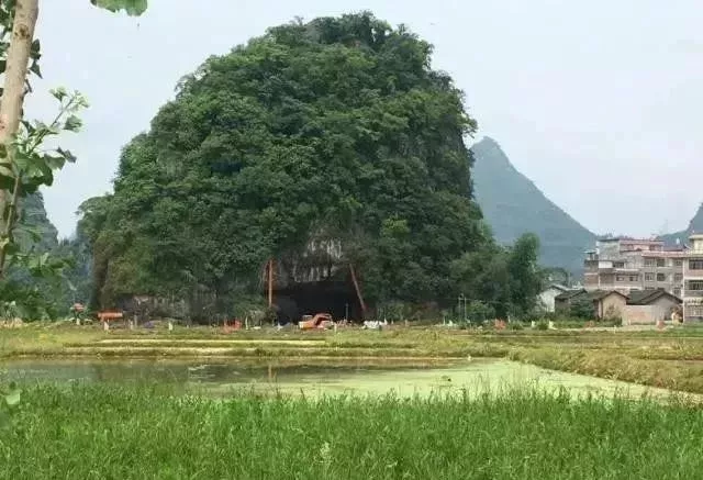 沙田镇小凉河休闲山庄