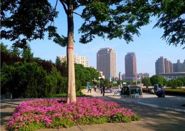 漯河之美,家乡之赞--边走边拍的美景