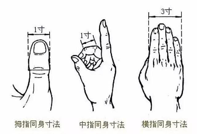 骨度分寸法图例: 是在骨度分寸和体表标志法的基础上,以施术者本人或