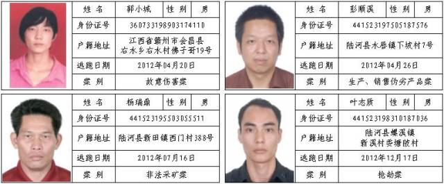 二,悬赏10000元人民币在逃人员名单