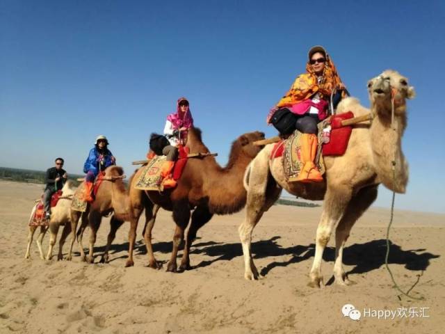 襄阳大事件!一个投资5.2亿的景区26号多项目同