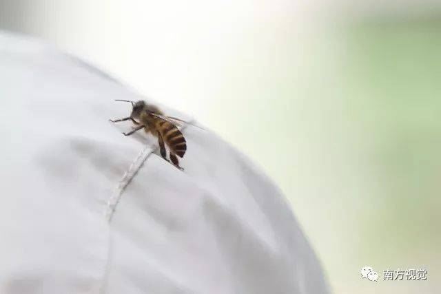 今年51岁的占疼痛是一名类风湿病患者,经常阿姨自理,v疼痛不已无法新款老虎控台图片