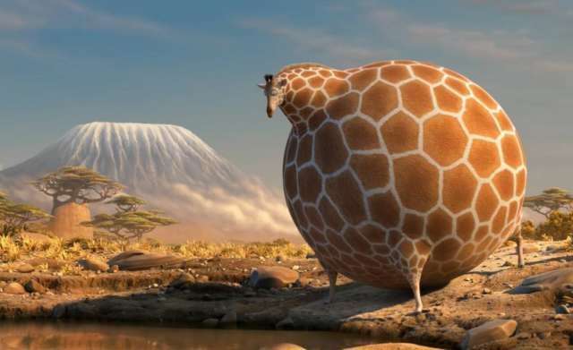 巨萌!如果动物世界都是胖子