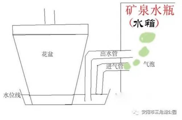 矿泉水瓶自制浇花器