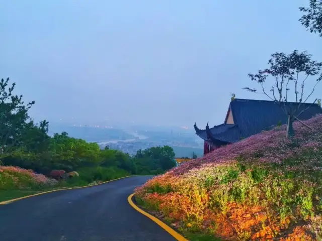 舜缶暗" 的布局悄然呈现 成为了 "山水田园画廊,森林康养圣地" 常州