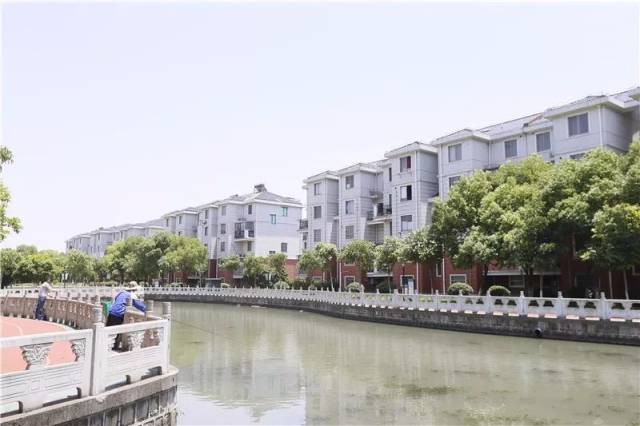 今年,石湖荡镇计划完成李塔汇集镇道路二级管网敷设,对李塔汇集镇内6