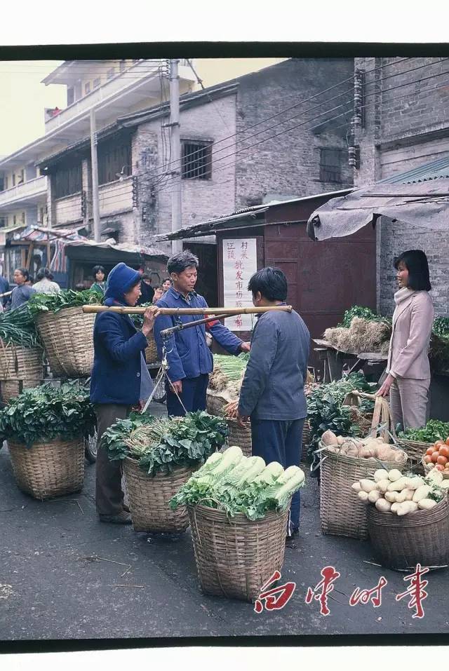 江高镇:江湖上关于江高的那些传说,都是真的!