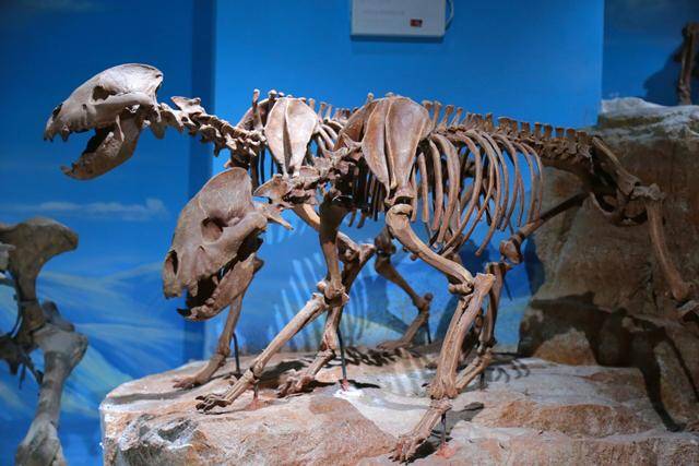 天气太热遛娃怕中暑到正佳广场叹着空调逛广州