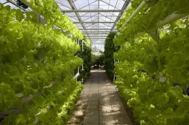 一线分钟 低空物流加速深山鲜货走向餐桌