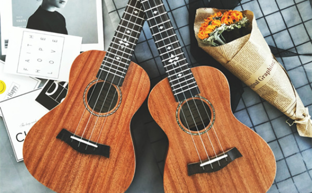 什么乐器简单易学,专家推荐最简答易学的乐器