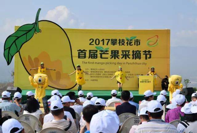 2017攀枝花市首届芒果采摘节拍卖会上