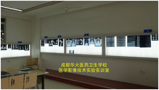 成都华大卫校2018年新增人才缺乏专业 --医学