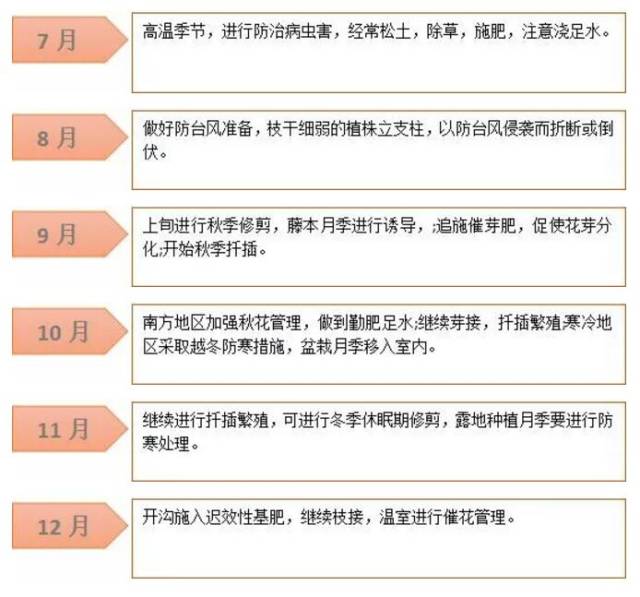 月季施肥月历 0基础学会养月季 超简单 月季施肥月历 0基础学会养月季 超简单