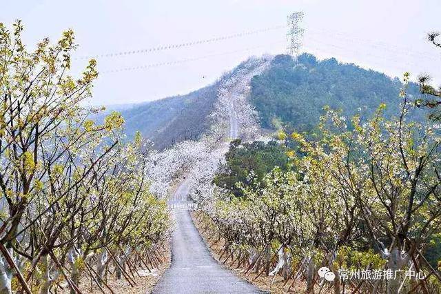 常州人,你又多了一"村游"好去处!依山傍水简直美得不