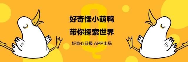 跟你一起吃掉无趣,好奇心的好奇怪表情包