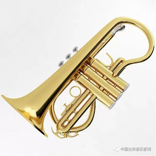 【音乐百科】最炫酷的铜管乐器——小号