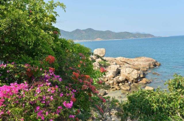 温州开通直飞越南芽庄了！美食、美景在这里！