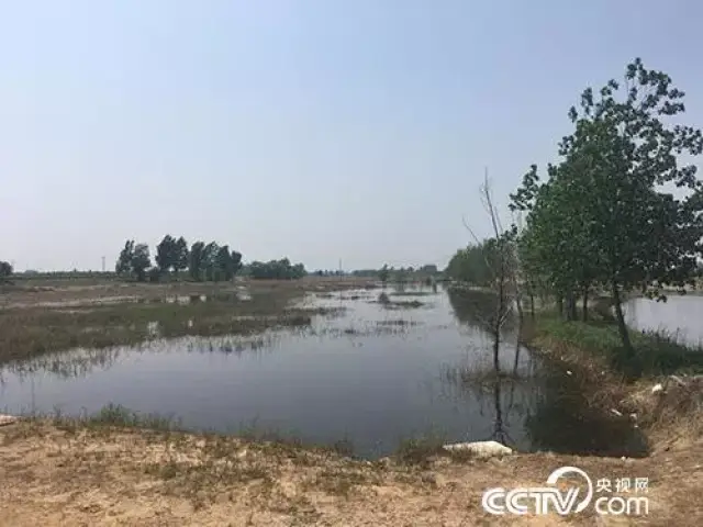 晋州有多少人口(3)