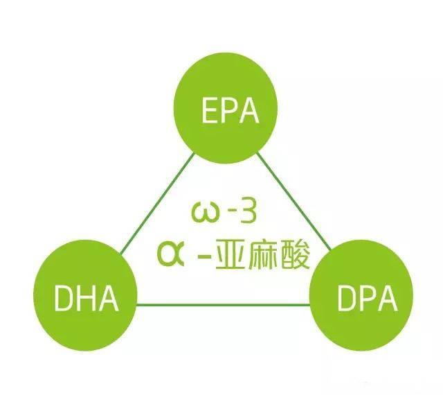 ω-3是什么?ω-3为多不饱和脂肪酸是什么?