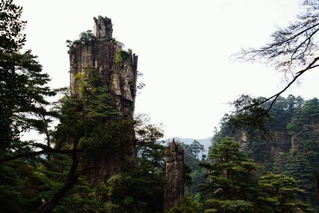 莽山壮美惊天下——登天台,闯鬼子寨,是否还会与神秘的蛇中熊猫来一场