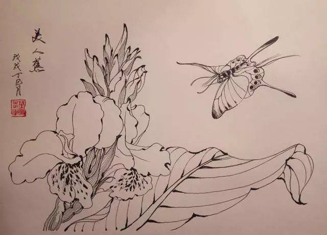 叶志军先生的钢笔白描花卉作品分享