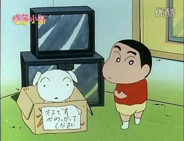蜡笔小新:小白终于成为野原一家的成员之一啦!