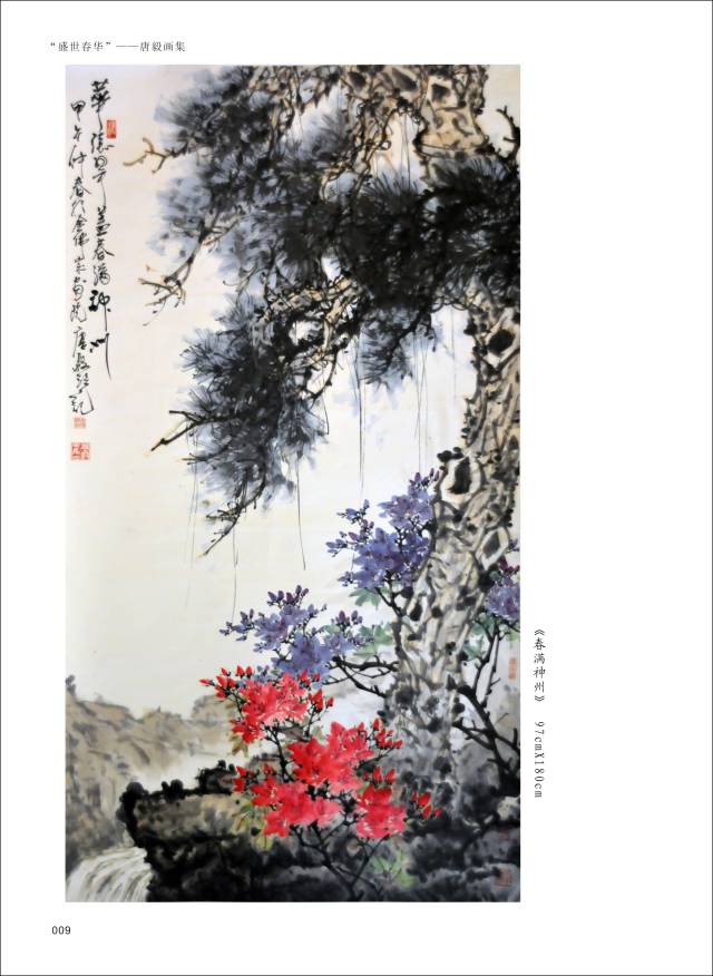 出版有《唐毅中国画》,《唐毅中国画选》,作品先后被人民大会堂,全国