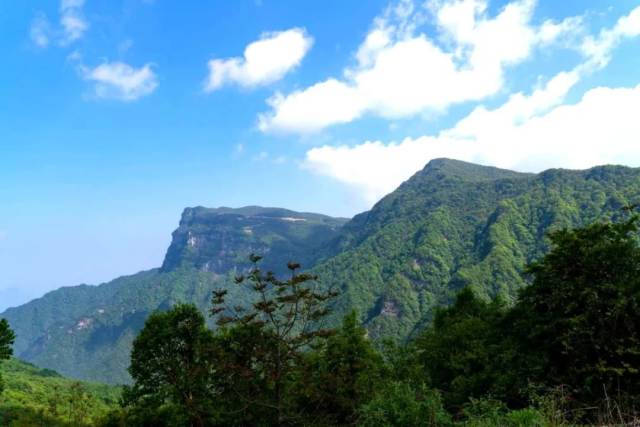 【佳作】在诗词中欣赏汉中龙头山的壮丽风景