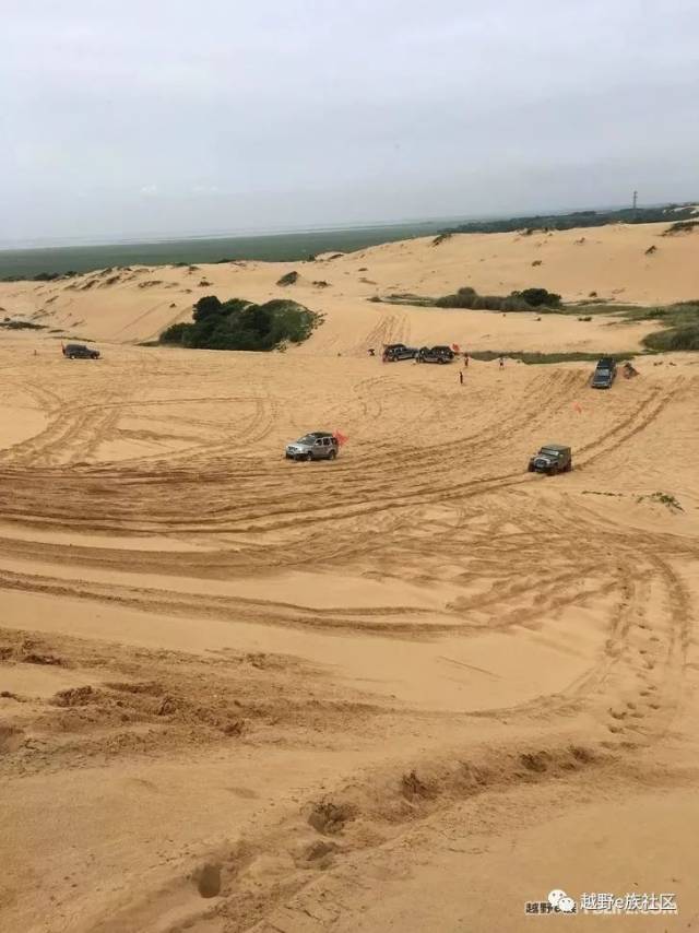 山猫大战鄱阳湖,那叫一个爽!