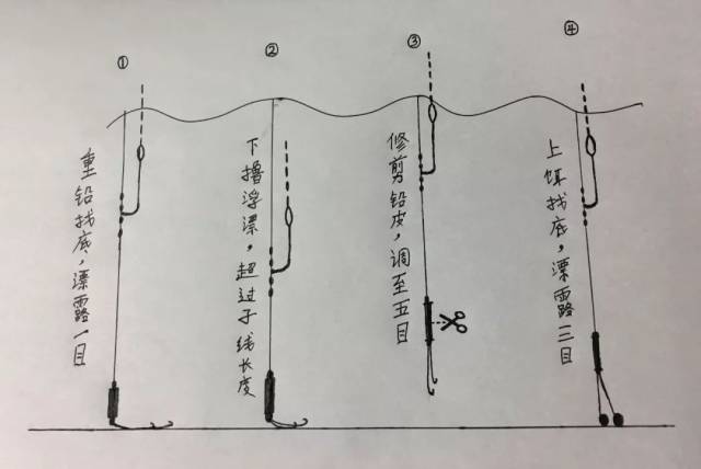 最近很多钓友都在"垂钓能量站"中搜索钓技知识,小编发现不少小伙伴都