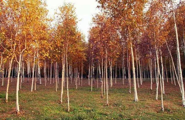 松原5.7级地震!专家说咱长春也有两条地震带!