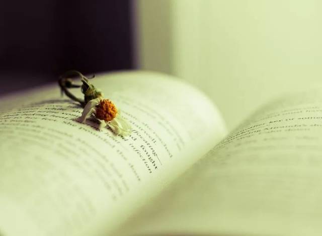 教我如何不想她?