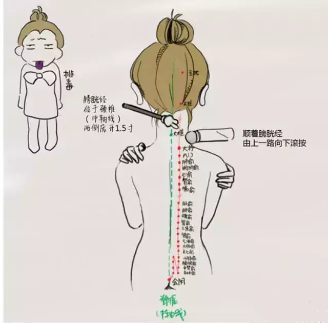 膀胱经是女人最大的排毒通道