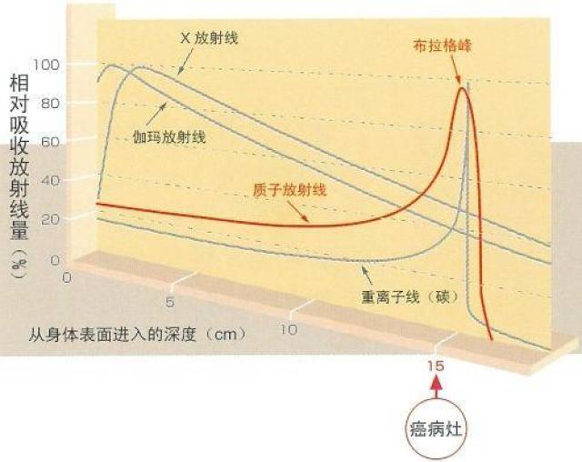 ccf310c7aa3c42418e9e8f106aaccd20.jpeg