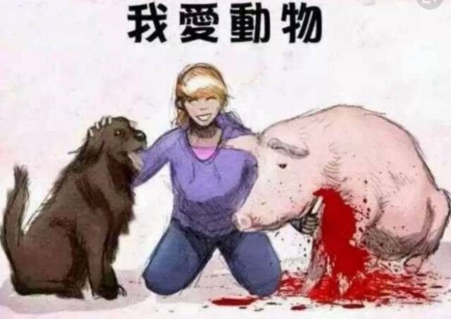 吃狗肉的人真的是毫无人性?你怎么看?