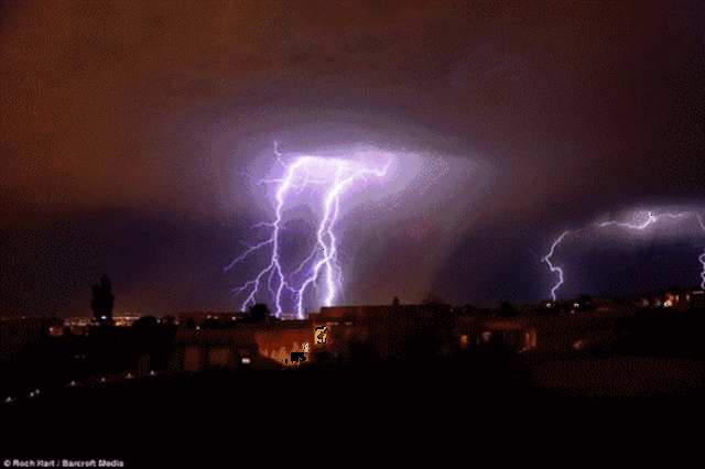 5f318ca2457b4eb8aa3e04d6887f4e4f.gif