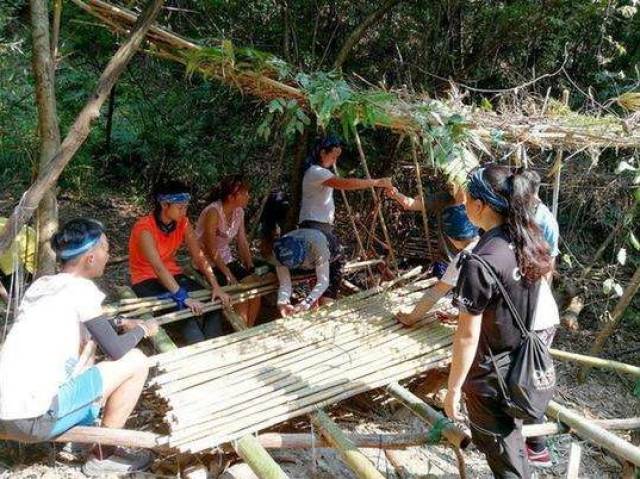 【贝尔生存训练营】24h荒野求生挑战 解锁最强团队能量