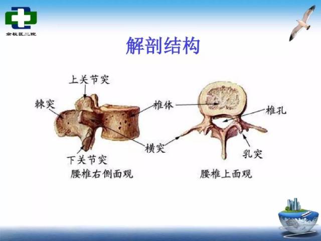 腰椎爆裂性骨折护理查房