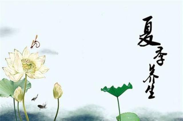 夏季湿气重有哪些症状?科学预防避免湿毒侵