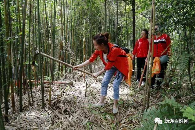 筠连一大帮美女亲自去挖"甜竹笋",价钱便宜得你很难相信!